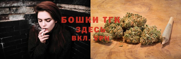 прущий лед Арсеньев