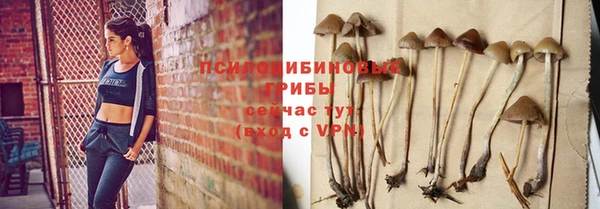 прущий лед Арсеньев