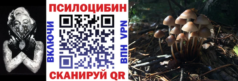 Псилоцибиновые грибы MAGIC MUSHROOMS  Королёв 